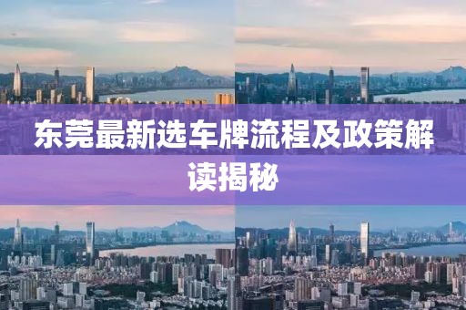东莞最新选车牌流程及政策解读揭秘