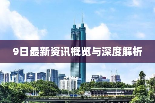 9日最新资讯概览与深度解析