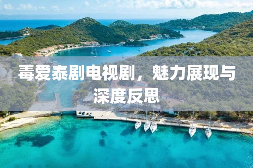 毒爱泰剧电视剧，魅力展现与深度反思