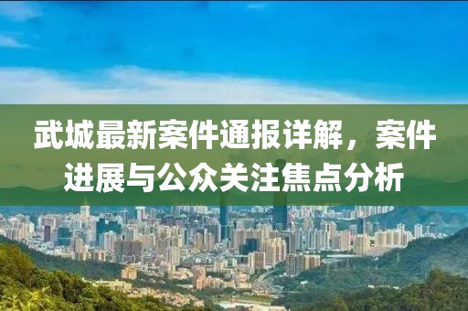 武城最新案件通报详解，案件进展与公众关注焦点分析