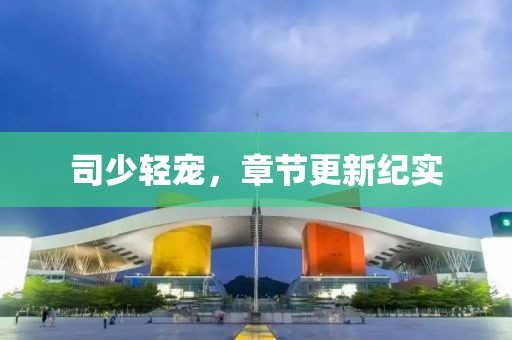 司少轻宠，章节更新纪实