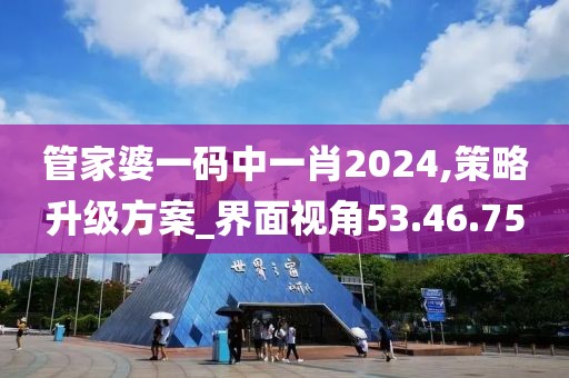 管家婆一码中一肖2024,策略升级方案_界面视角53.46.75