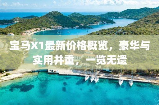 宝马X1最新价格概览，豪华与实用并重，一览无遗