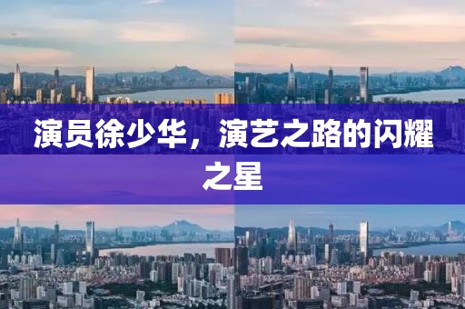 演员徐少华，演艺之路的闪耀之星