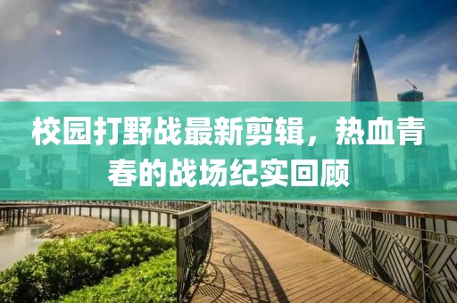 校园打野战最新剪辑，热血青春的战场纪实回顾