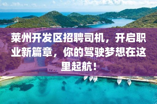 莱州开发区招聘司机，开启职业新篇章，你的驾驶梦想在这里起航！