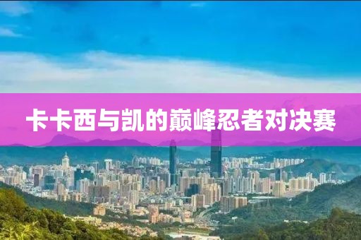 卡卡西与凯的巅峰忍者对决赛