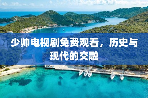 少帅电视剧免费观看，历史与现代的交融