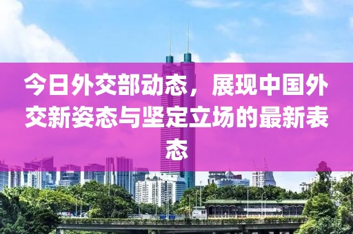 今日外交部动态，展现中国外交新姿态与坚定立场的最新表态