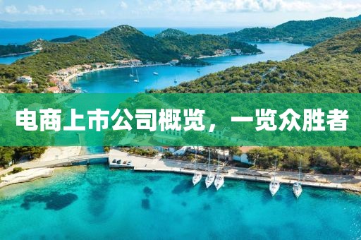 电商上市公司概览，一览众胜者