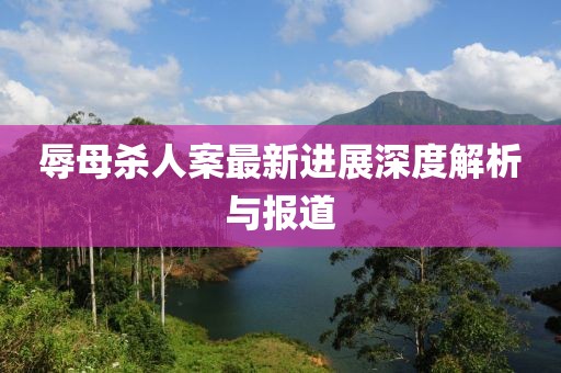 辱母杀人案最新进展深度解析与报道