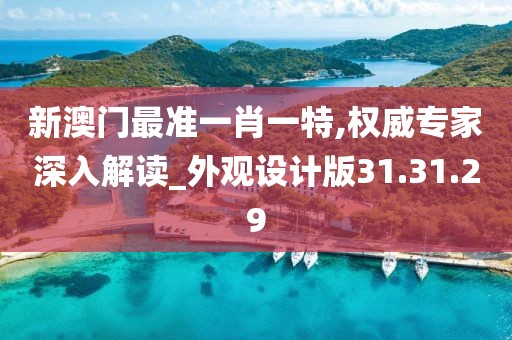 新澳门最准一肖一特,权威专家深入解读_外观设计版31.31.29