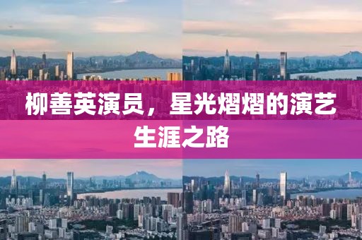 柳善英演员，星光熠熠的演艺生涯之路