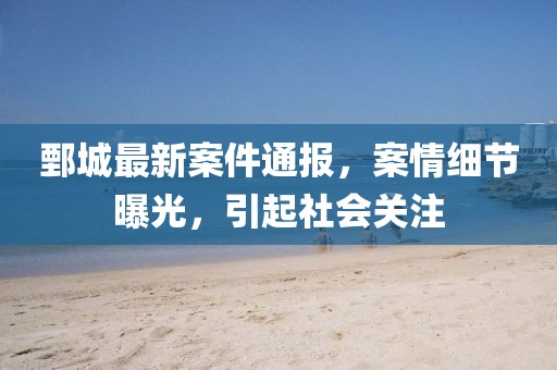 鄄城最新案件通报，案情细节曝光，引起社会关注