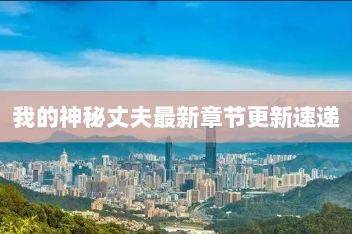 我的神秘丈夫最新章节更新速递