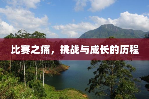 比赛之痛，挑战与成长的历程