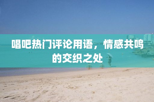 唱吧热门评论用语，情感共鸣的交织之处