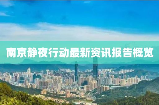 南京静夜行动最新资讯报告概览
