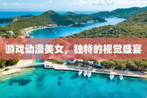 游戏动漫美女，独特的视觉盛宴