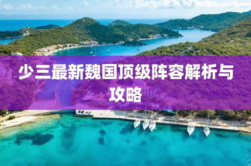 少三最新魏国顶级阵容解析与攻略