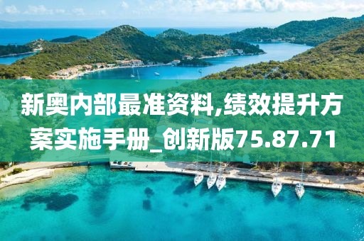 新奥内部最准资料,绩效提升方案实施手册_创新版75.87.71