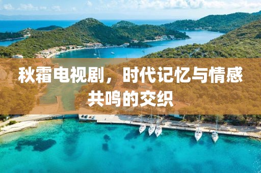 秋霜电视剧，时代记忆与情感共鸣的交织
