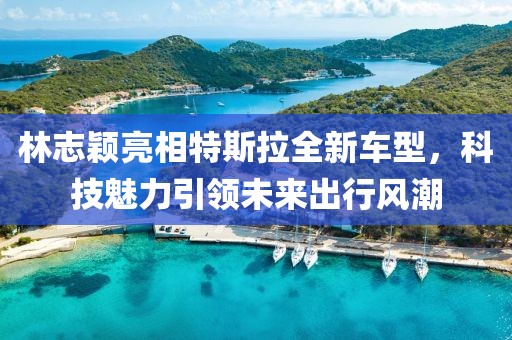 林志颖亮相特斯拉全新车型，科技魅力引领未来出行风潮