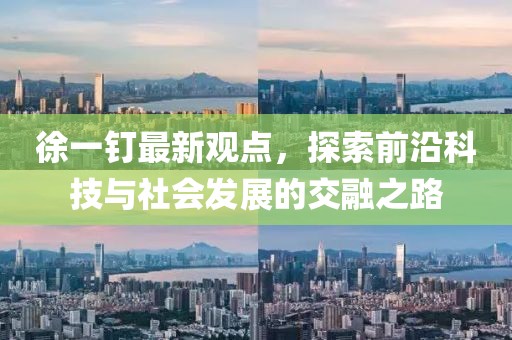 徐一钉最新观点，探索前沿科技与社会发展的交融之路