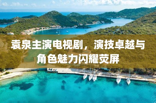 袁泉主演电视剧，演技卓越与角色魅力闪耀荧屏