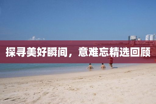 探寻美好瞬间，意难忘精选回顾