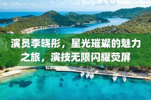 演员李晓彤，星光璀璨的魅力之旅，演技无限闪耀荧屏
