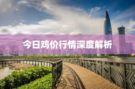 今日鸡价行情深度解析