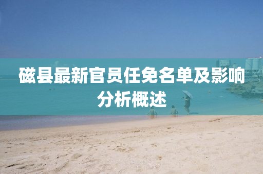 磁县最新官员任免名单及影响分析概述