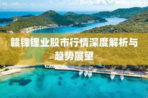 赣锋锂业股市行情深度解析与趋势展望