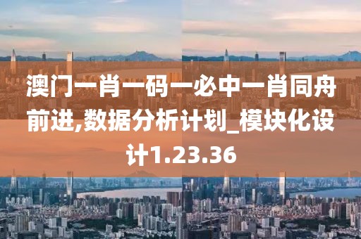 澳门一肖一码一必中一肖同舟前进,数据分析计划_模块化设计1.23.36