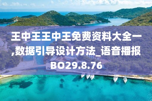 王中王王中王免费资料大全一,数据引导设计方法_语音播报BO29.8.76