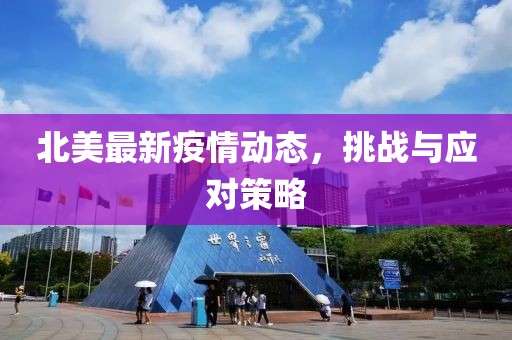 北美最新疫情动态，挑战与应对策略