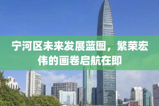 宁河区未来发展蓝图，繁荣宏伟的画卷启航在即