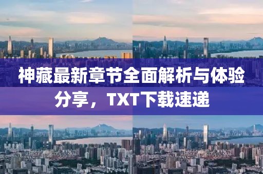 神藏最新章节全面解析与体验分享，TXT下载速递