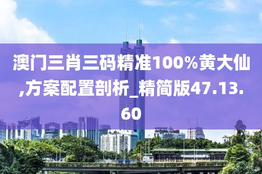 澳门三肖三码精准100%黄大仙,方案配置剖析_精简版47.13.60