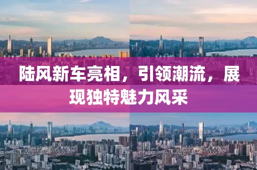 陆风新车亮相，引领潮流，展现独特魅力风采