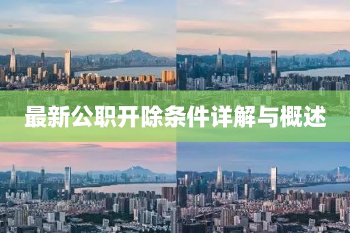 最新公职开除条件详解与概述