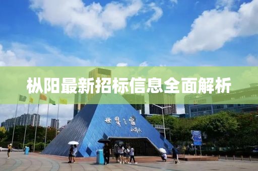 枞阳最新招标信息全面解析