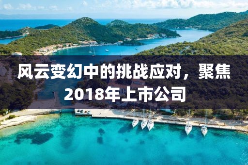 风云变幻中的挑战应对，聚焦2018年上市公司