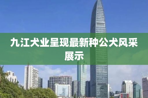 九江犬业呈现最新种公犬风采展示
