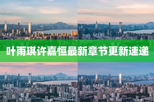 叶雨琪许嘉恒最新章节更新速递