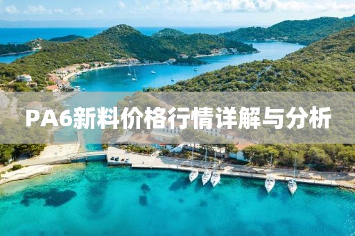 PA6新料价格行情详解与分析