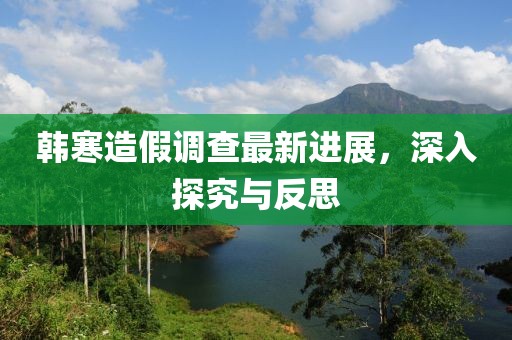 韩寒造假调查最新进展，深入探究与反思