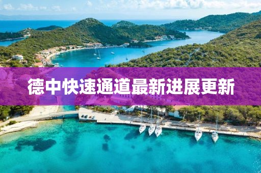 德中快速通道最新进展更新