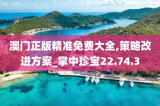 澳门正版精准免费大全,策略改进方案_掌中珍宝22.74.3